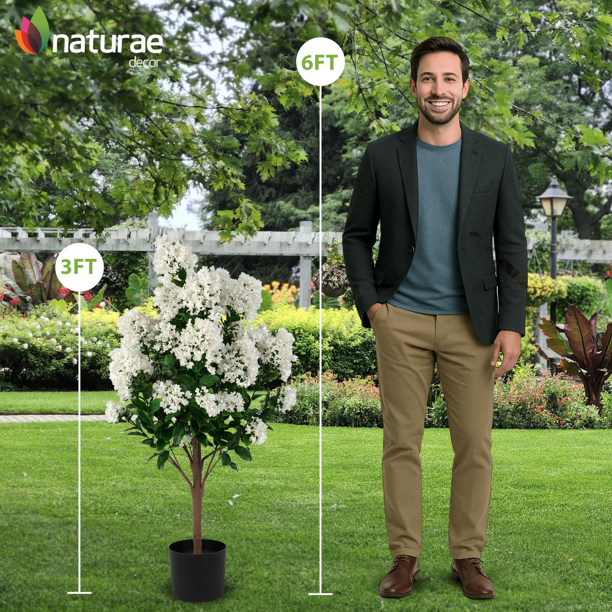 Amazon.com: Naturae Decor White Crape Myrtle Tree | 36 in High